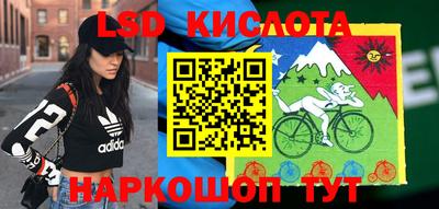 гашик Кохма