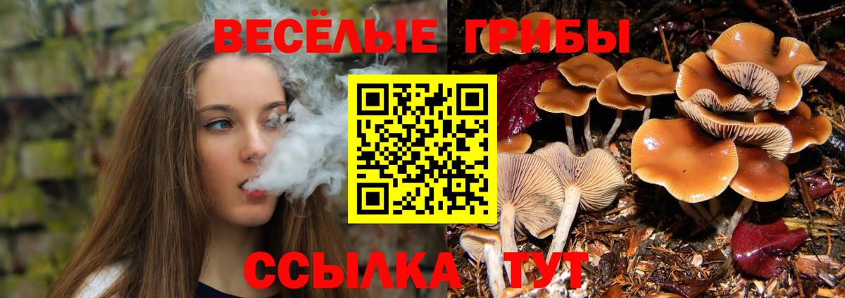 Медногорск  Галлюциногенные грибы прущие грибы  закладка  Вход с VPN 