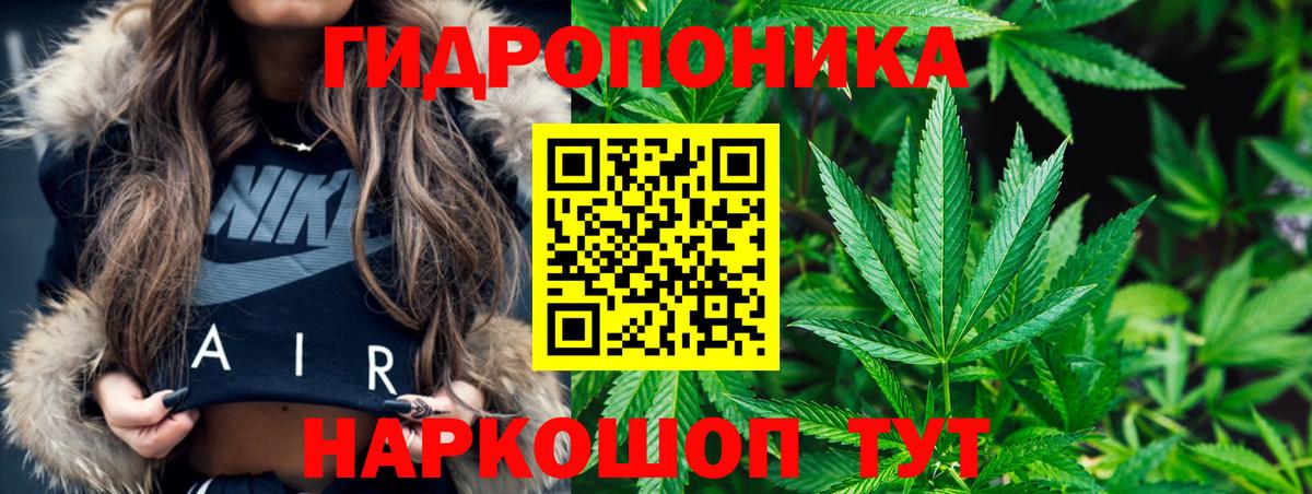 Конопля индика  Бошки марихуана Amnesia  Медногорск  Вход с VPN  Бошки марихуана конопля 