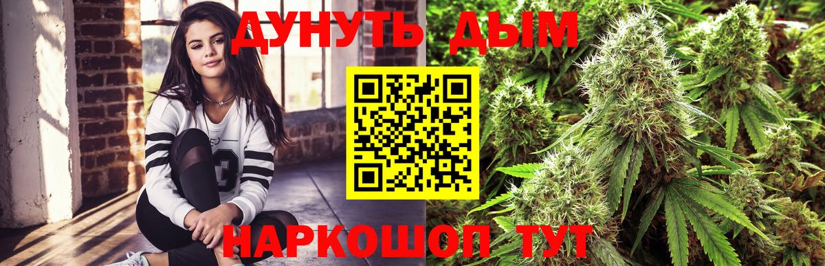 Конопля ГИДРОПОН Медногорск